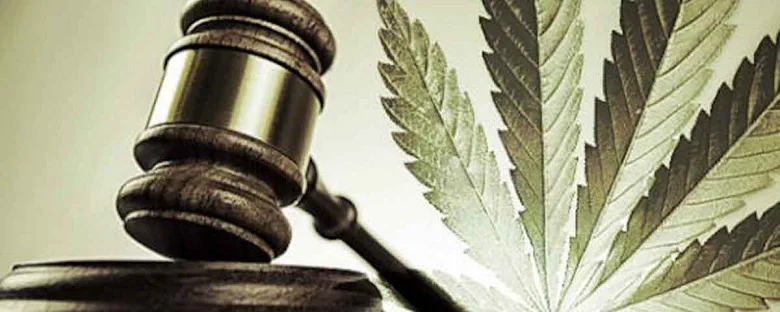 legge-italiana-sulla-cannabis-light-1200x480 cbd legale in italia oppure no ecco la situazione legale