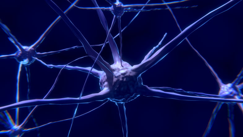 Neurone visto con un microscopio elettronico