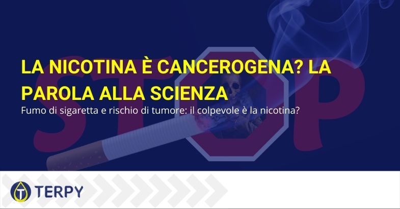 La nicotina è cancerogena?