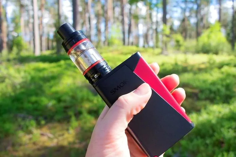 resa-aromatica Box Mod vista da vicino | Terpy