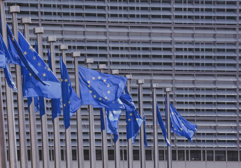 Bandiere dell'Unione Europea | Terpy