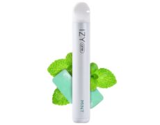 Vape pen bar IZY 600 puff gusto mint