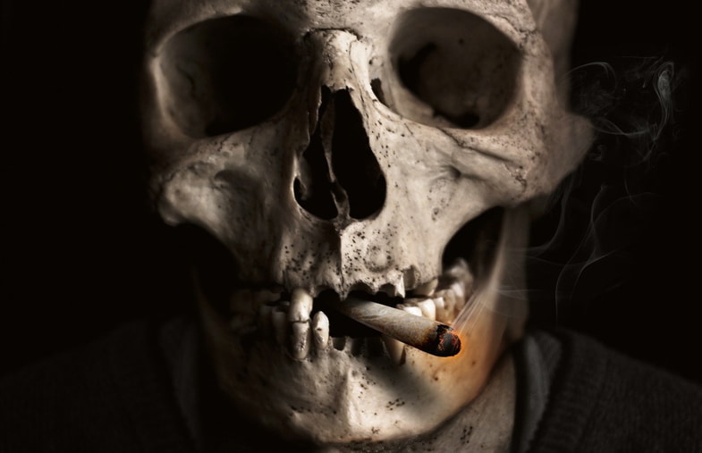 Teschio che fuma una sigaretta tradizionale | Terpy