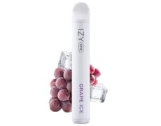 vape pen monuoso con 600 puff IZY grape ice