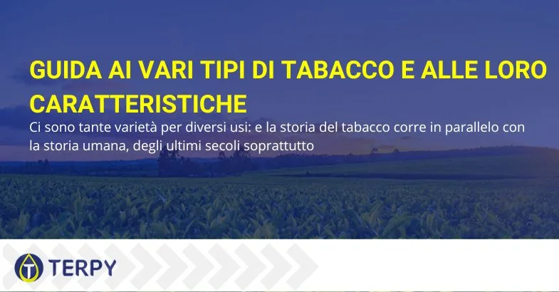 tipi-di-tabacco Guida ai tipi di tabacco | Terpy